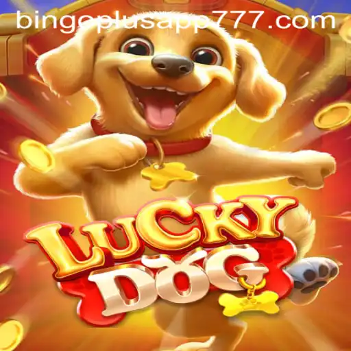 Exploring the Allure of LuckyDog and Bingoplus App