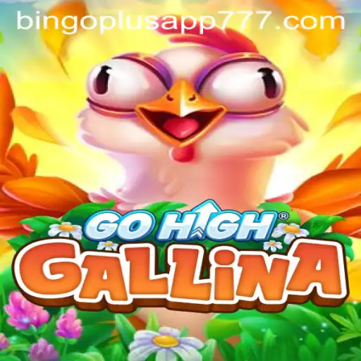 Exploring GoHighGallina: A New Gaming Experience with Bingoplus App Integration